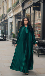MIST HOUSE {Jasmine} Premium Velvet Pleated Material Maxi dress
